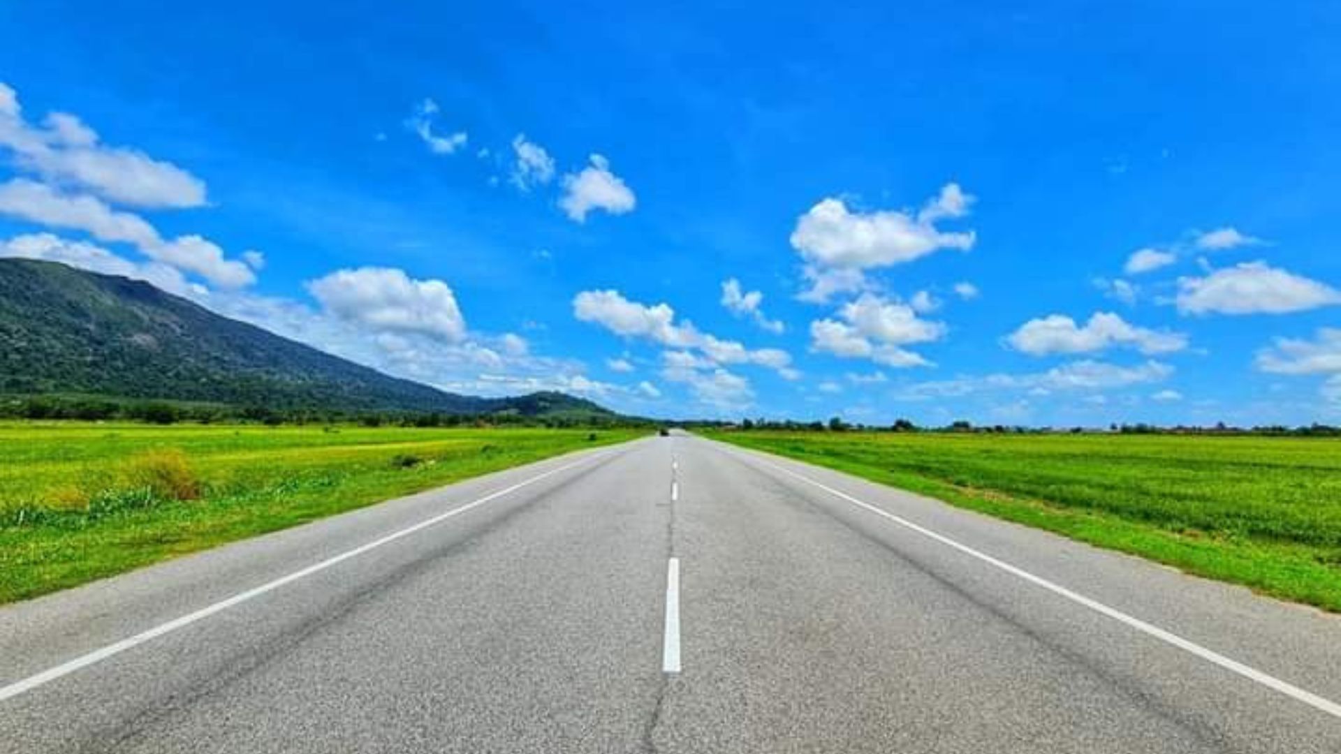 An empty road in the middle of a green field